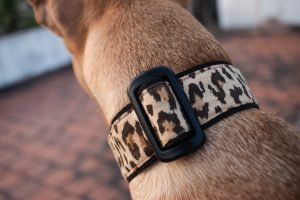 Dog collar with adjuster for adjustable length in India 