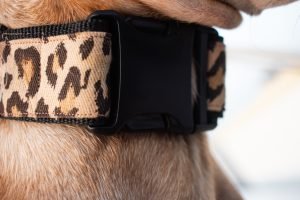Snap on Dog Collar with Side Release Buckle for convenience 