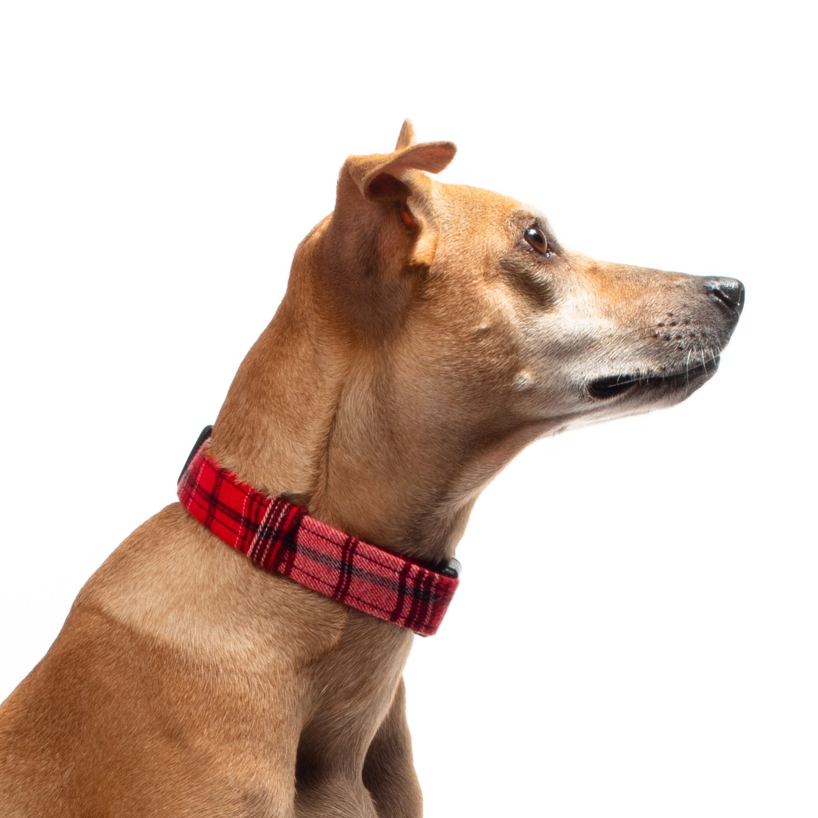Red And White Plaid – Adjustable, Snap On Dog Collar