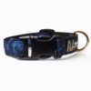 Blue Chaos Dog Collar