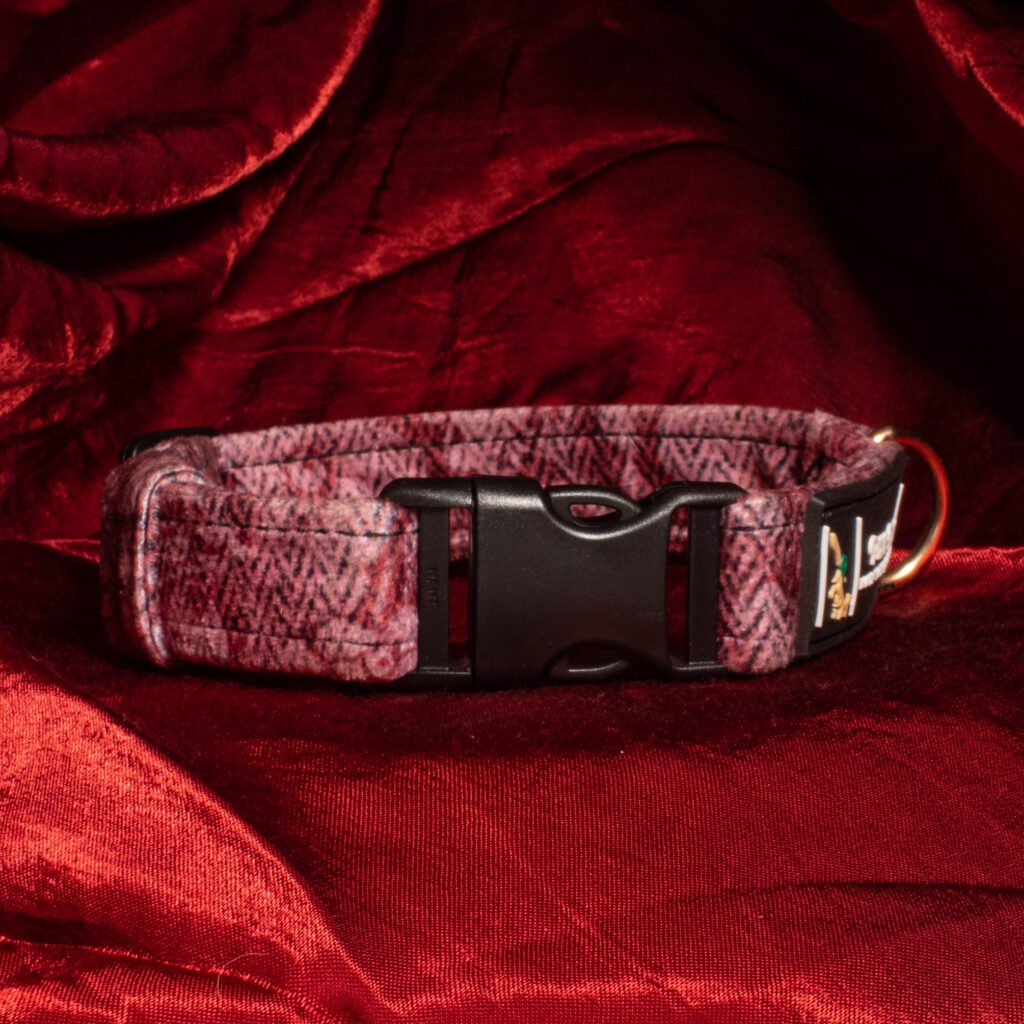 Pixie Drip Carmine Red Abstract Luxury Velvet Dog Collar