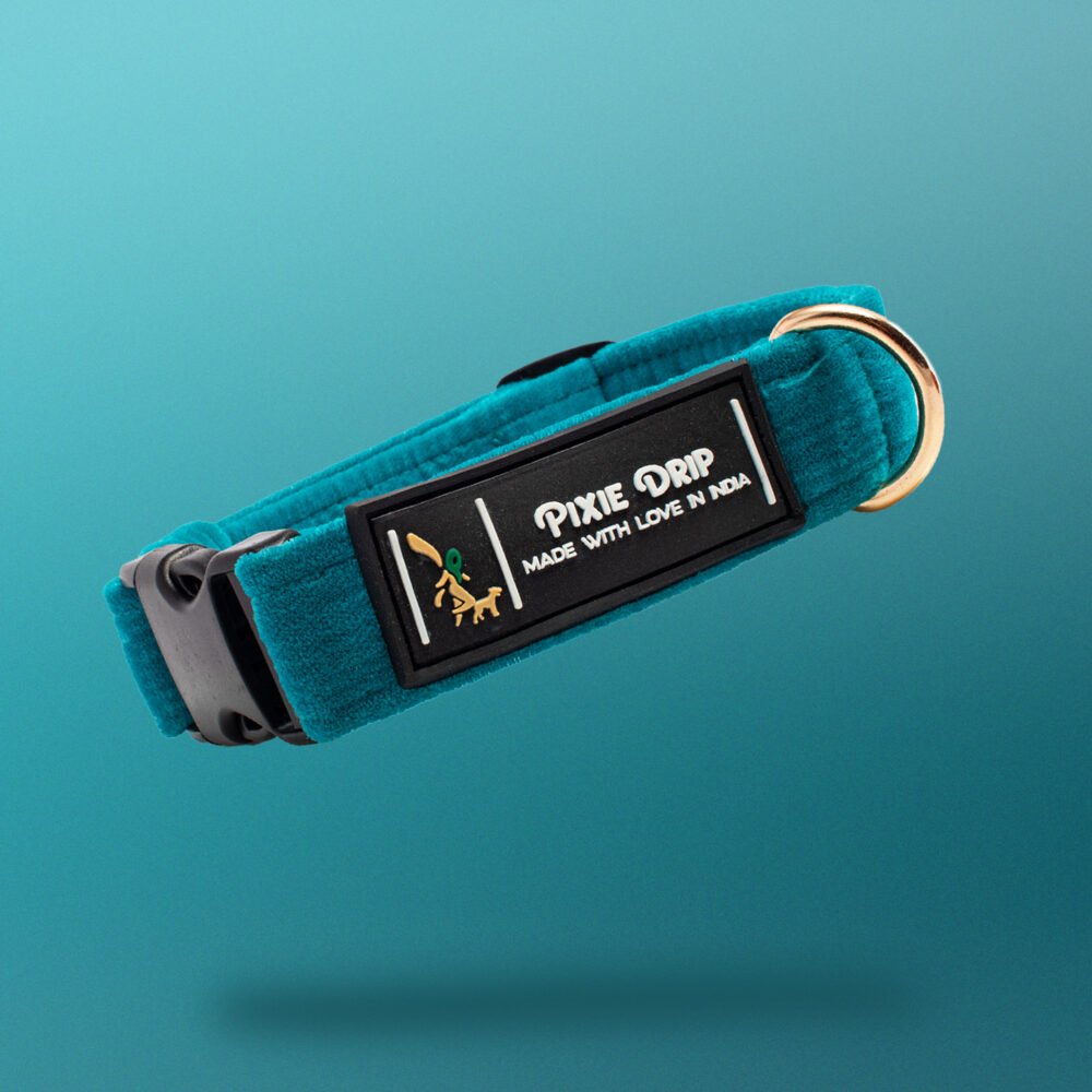 Luxury Collar and Leash Set –  Turquoise Blue Velvet