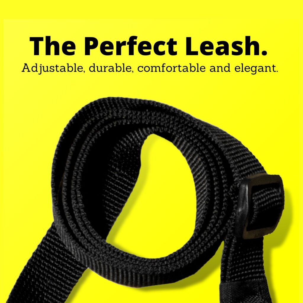 All Black Leash