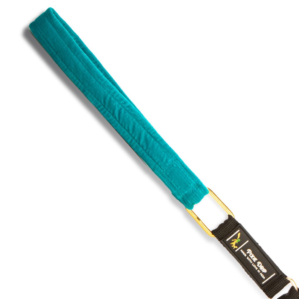 Dog Leash with Velvet Soft Handle, Blue