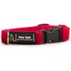 Pixie Drip Candy Red Luxury Velvet Dog Collar