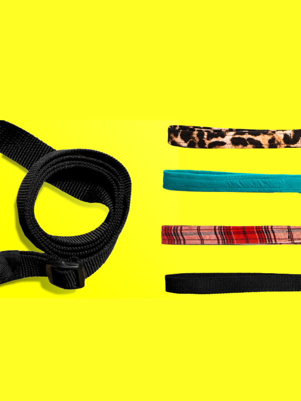 Adjustable Dog Leash