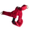 Luxury Velvet Adjustable Dog Harness, Candy Red
