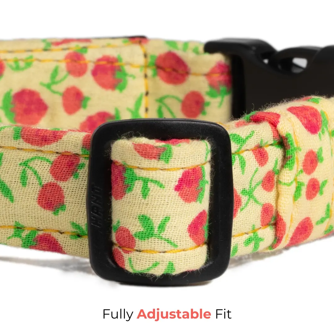 pixie-drip-strawberry-fields-cotton-dog-collar-adjustable-fit pixie-drip-strawberry-fields-cotton-dog-collar-adjustable-fit