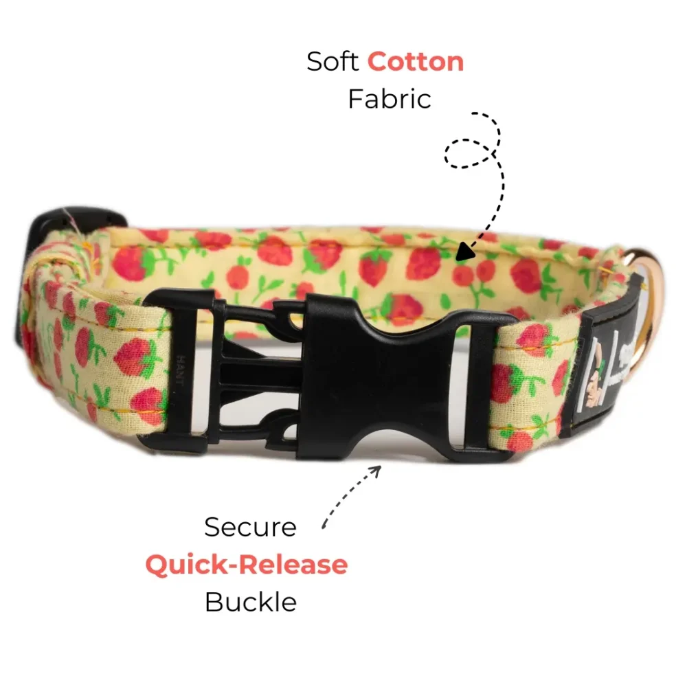 Strawberry Fields – Everyday Premium Cotton Dog Collar